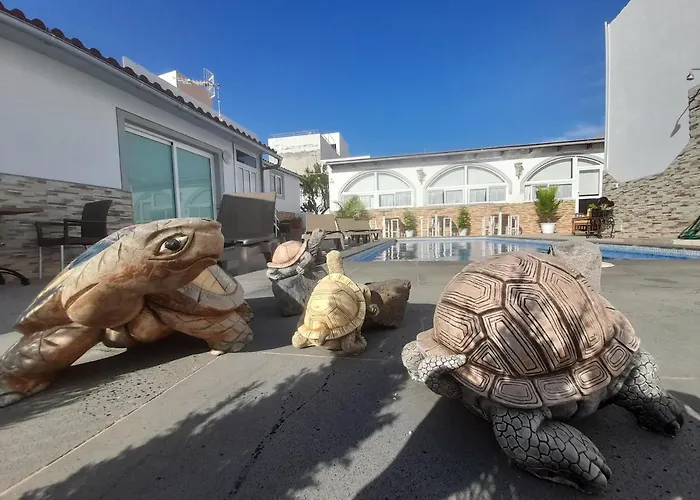 Apartamento Tenerife Little Village 1d