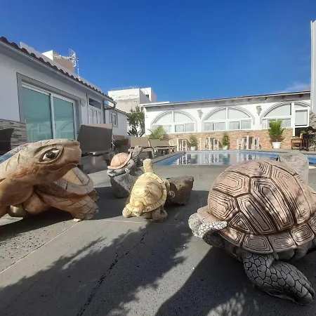 Lägenhet Tenerife Little Village 1d